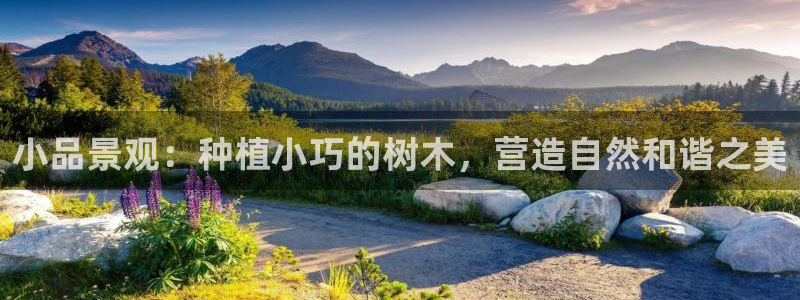 新宝gg怎样代理