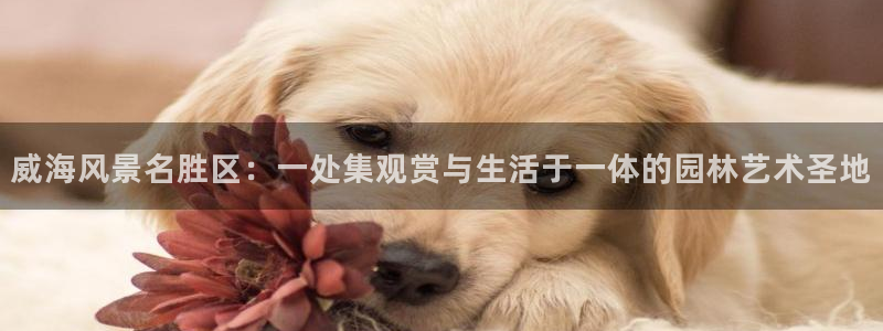 新宝时gg