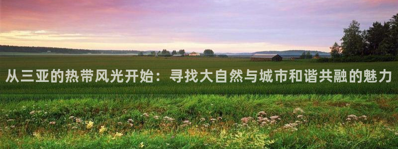 新宝gg手机app