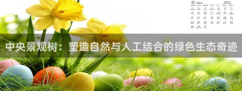 新宝哈哈gg