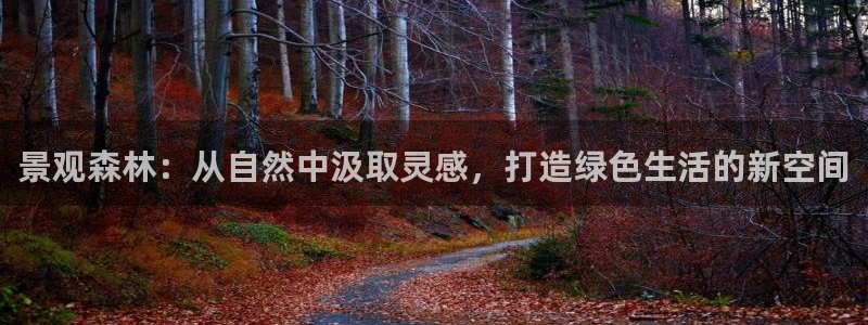 新宝gg娱乐平台