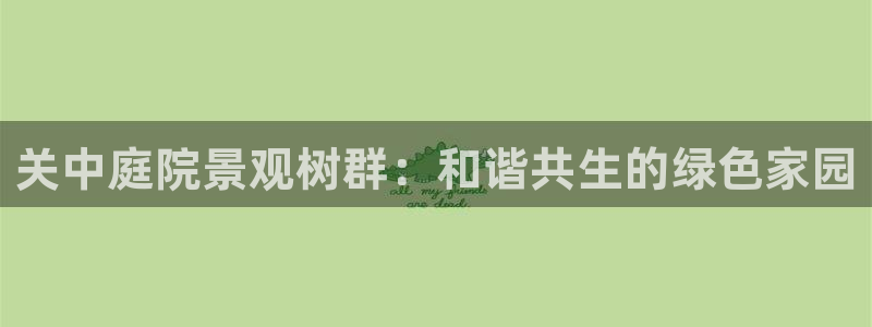 新宝gg套路