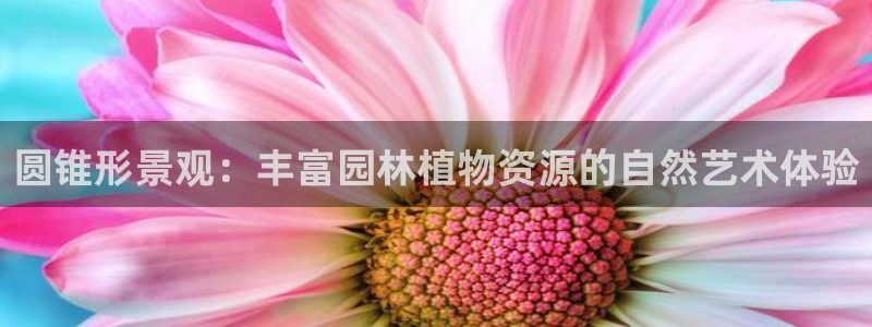 新宝gg反水