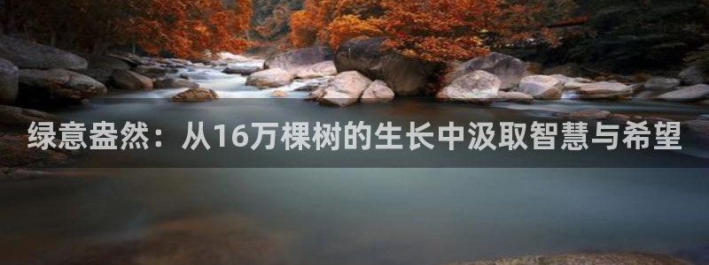 新宝gg反水