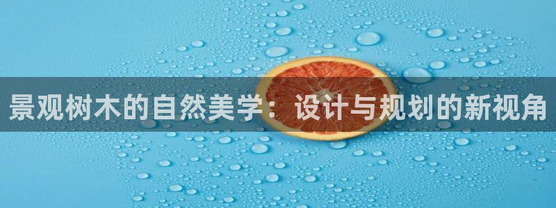 新宝gg合法吗