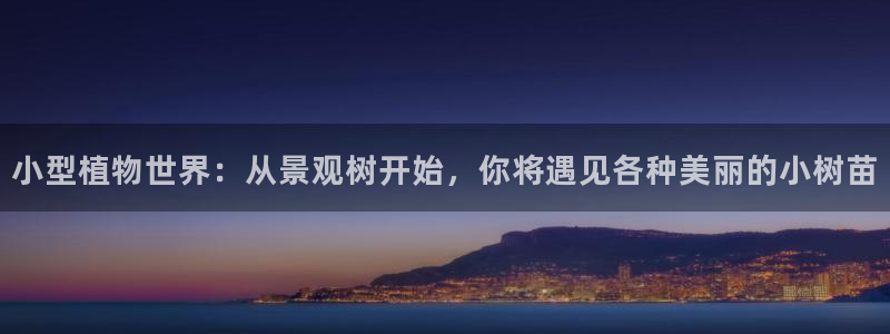 新宝gg直