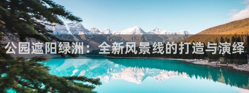 新宝gg推荐