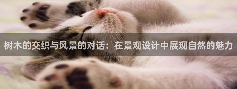 新宝gg如何代理