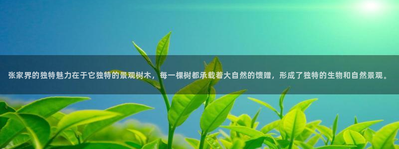 新宝gg手机注册官网
