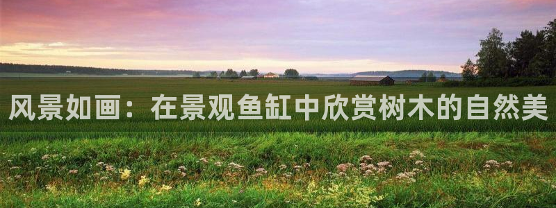 新宝gg如何代理