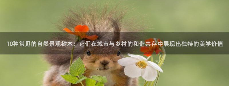 新宝gg怎么做代理