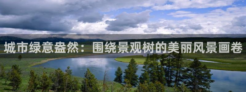 新宝GG登录网页