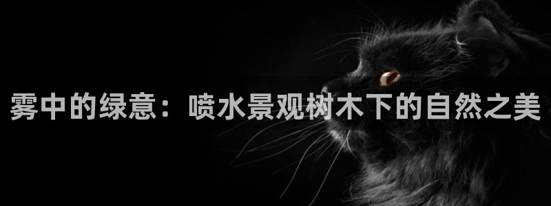 新宝gg怎么做代理
