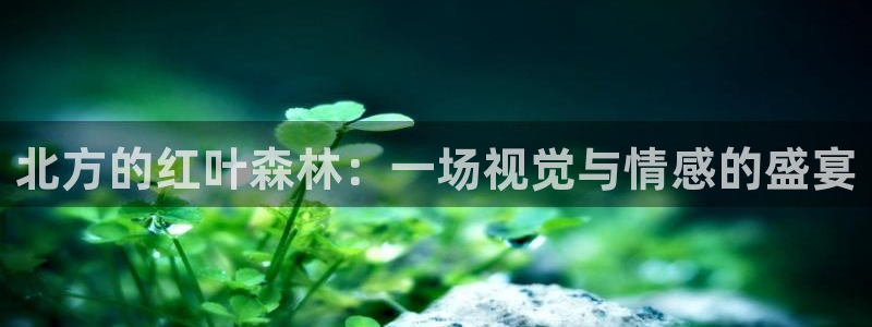 新宝GG于六七五一38