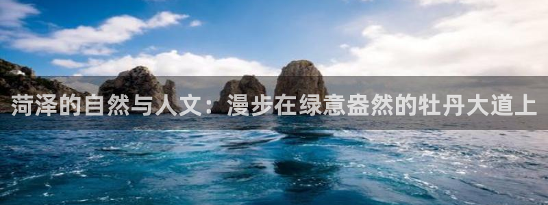 新宝gg如何注册登录