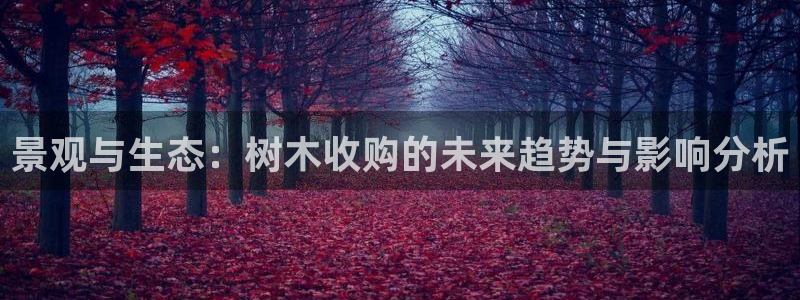 新宝gg联系