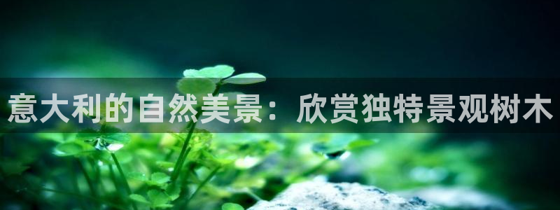 新宝gg主管weibo