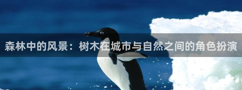 新宝gg客户端下载