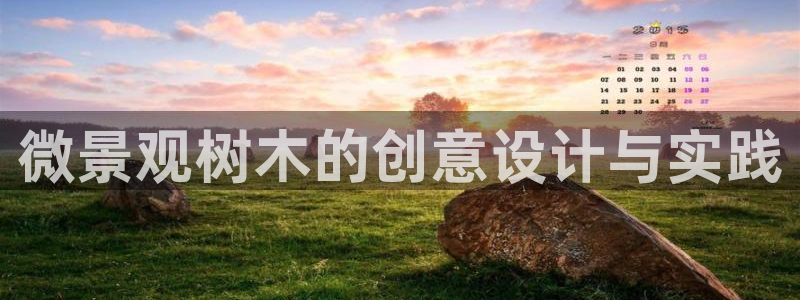 新宝gg创造奇迹