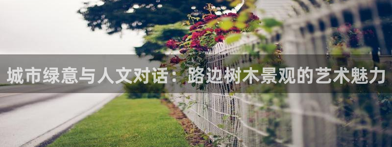 新宝gg计划