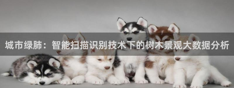 新宝gg群