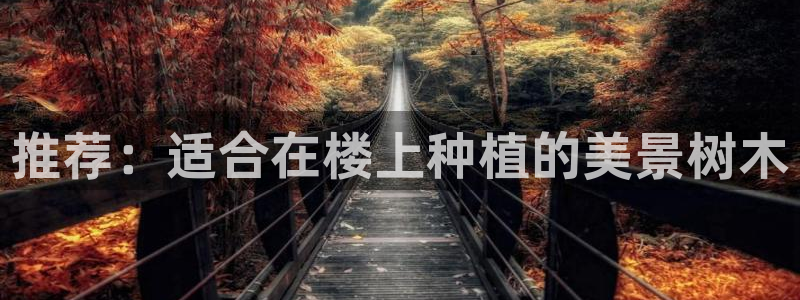 新宝GG的老板
