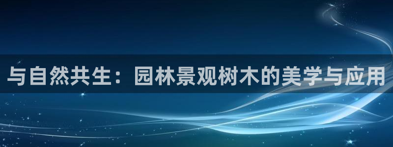 新宝gg怎么样