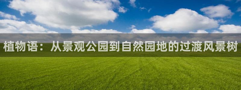 新宝gg违法