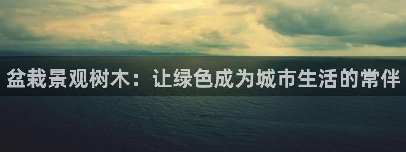 新宝gg咨询55312