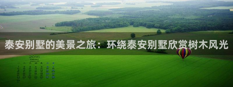 新宝gg投注