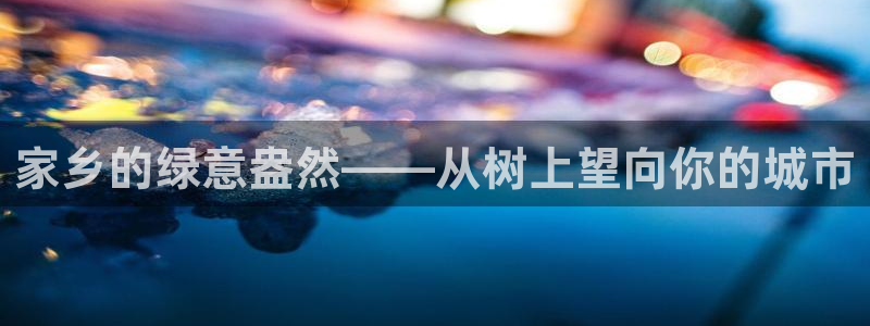 新宝gg3