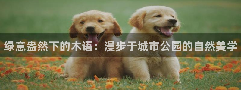 新宝gg 52360：绿意盎然下的木语：漫步于城市公园的自然美学