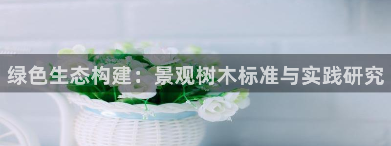 新宝gg分红