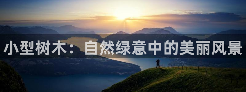 新宝GG于六七五一38