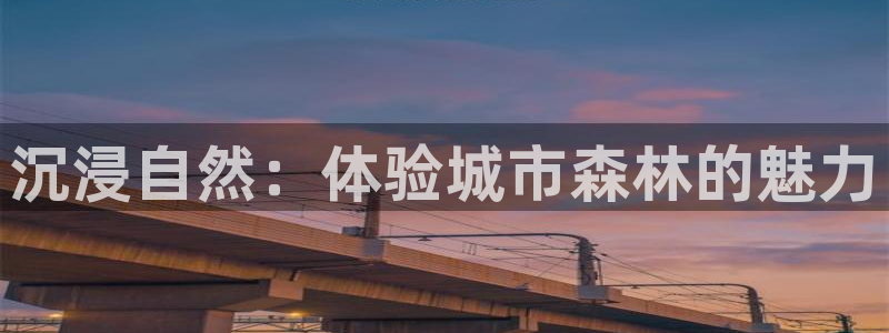 新浪新闻新宝gg