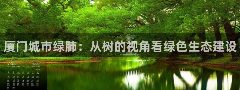 新宝gg成立