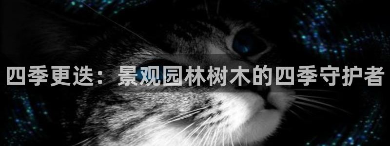 新宝gg返点