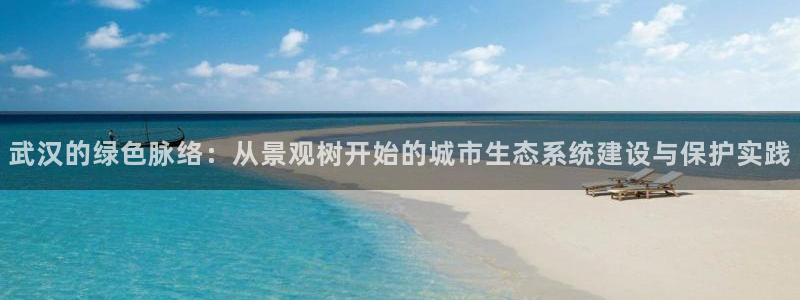 新宝gg推荐：武汉的绿色脉络：从景观树开始的城市生态系统建设与保护实践