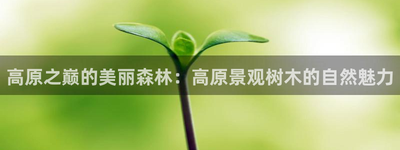 谁有新宝GG