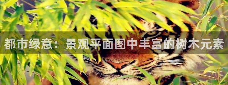 新宝gg首页平台