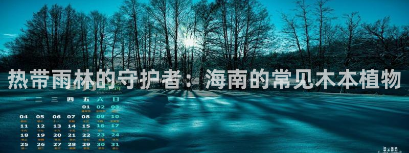 新宝gg ios下载：热带雨林的守护者：海南的常见木本植物
