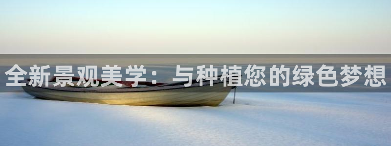 新宝gg怎么样