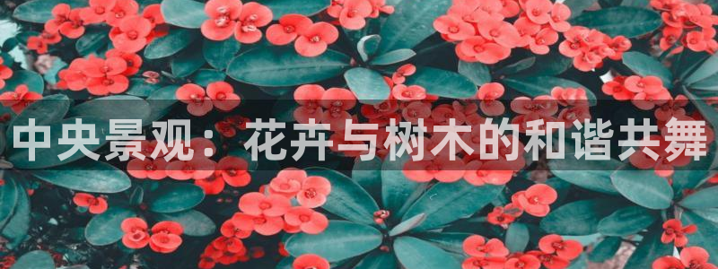 新宝gg会员