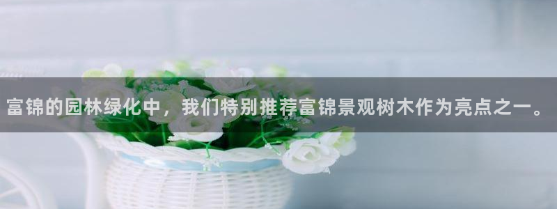 新宝GG扩展78778：富锦的园林绿化中，我们特别推荐富锦景观树木作为亮点之一。