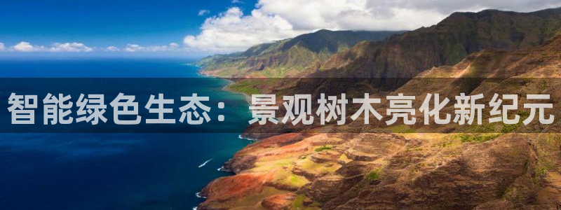 新宝gg计划