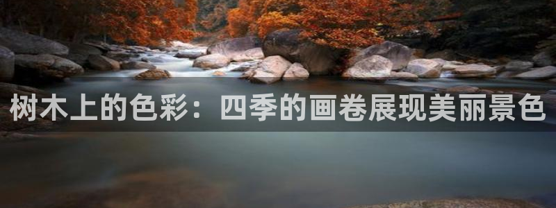 新宝GG勒55312：树木上的色彩：四季的画卷展现美丽景色