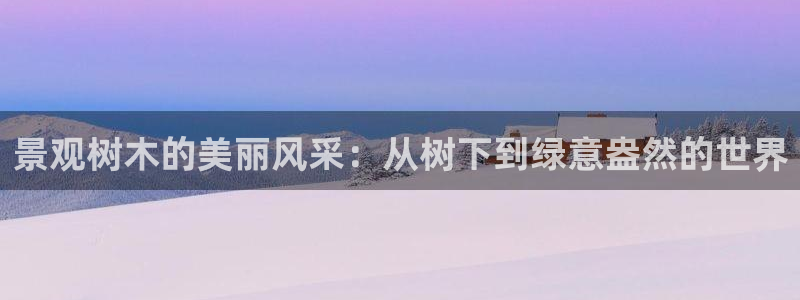 创造奇迹新宝gg：景观树木的美丽风采：从树下到绿意盎然的世界