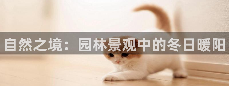 新宝gg注册 776317：自然之境：园林景观中的冬日暖阳