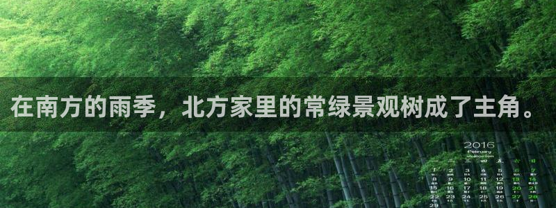 新宝gg平台注册：在南方的雨季，北方家里的常绿景观树成了主角。
