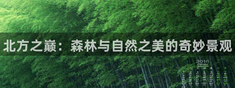 新宝gg开奖结果